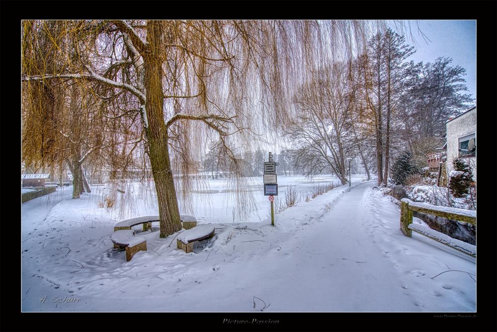 Winter Weiher