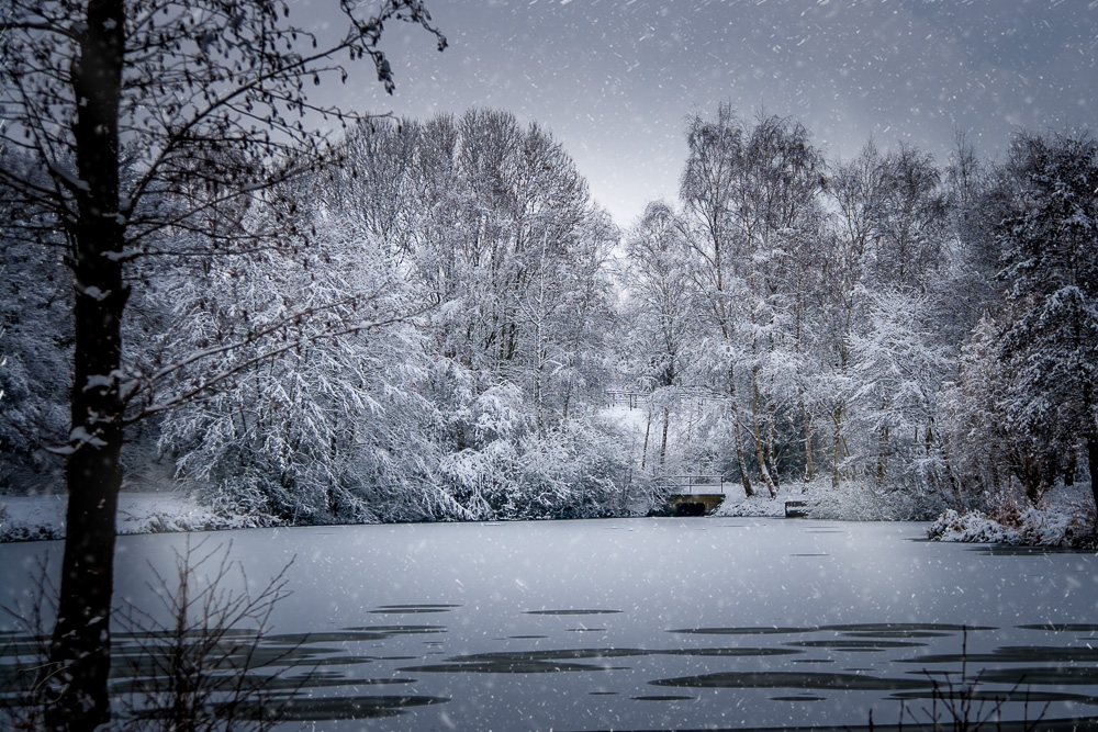 Winter-, Weihnachtswelt