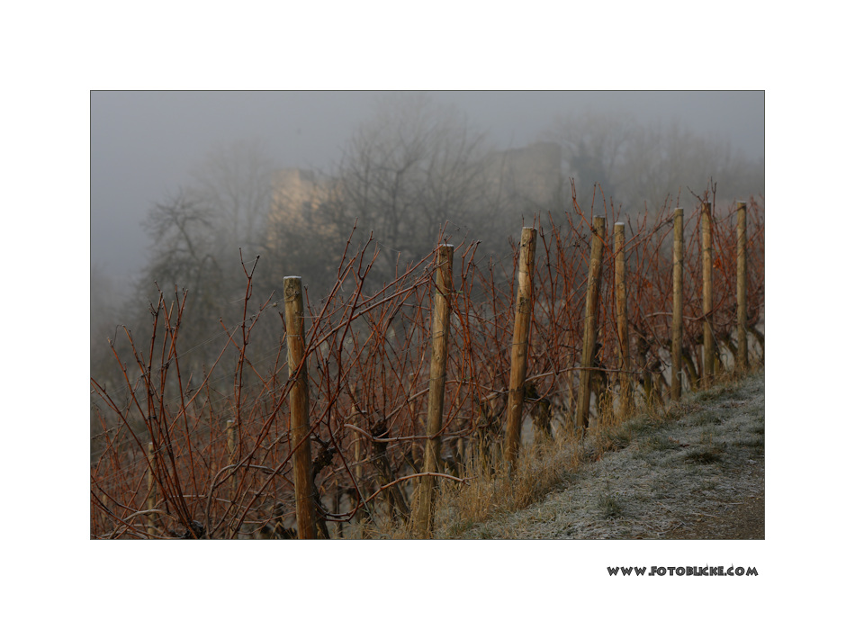 Winter Wein Berg #1