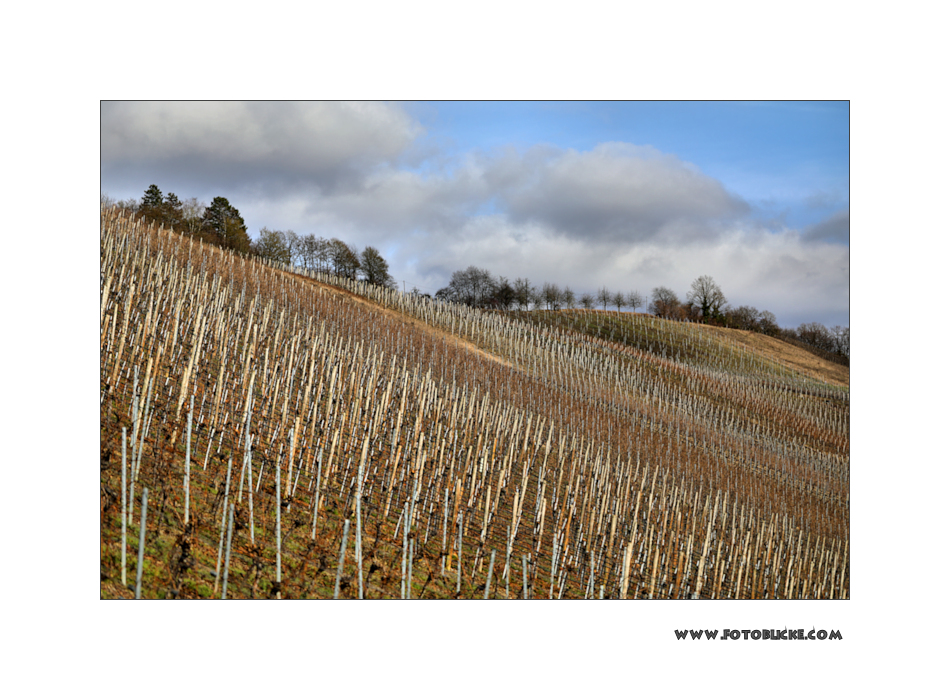 Winter Wein Berg