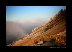 Winter Wein Berg