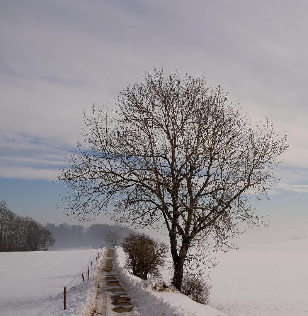 Winter Wetter