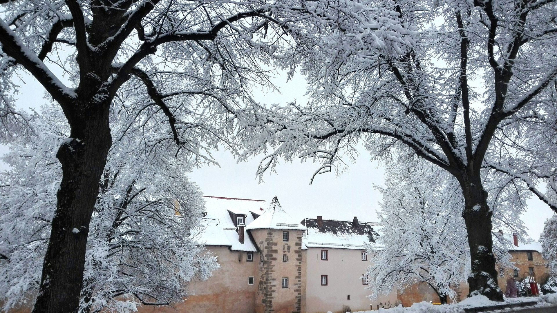 Winter-White Weißenburg