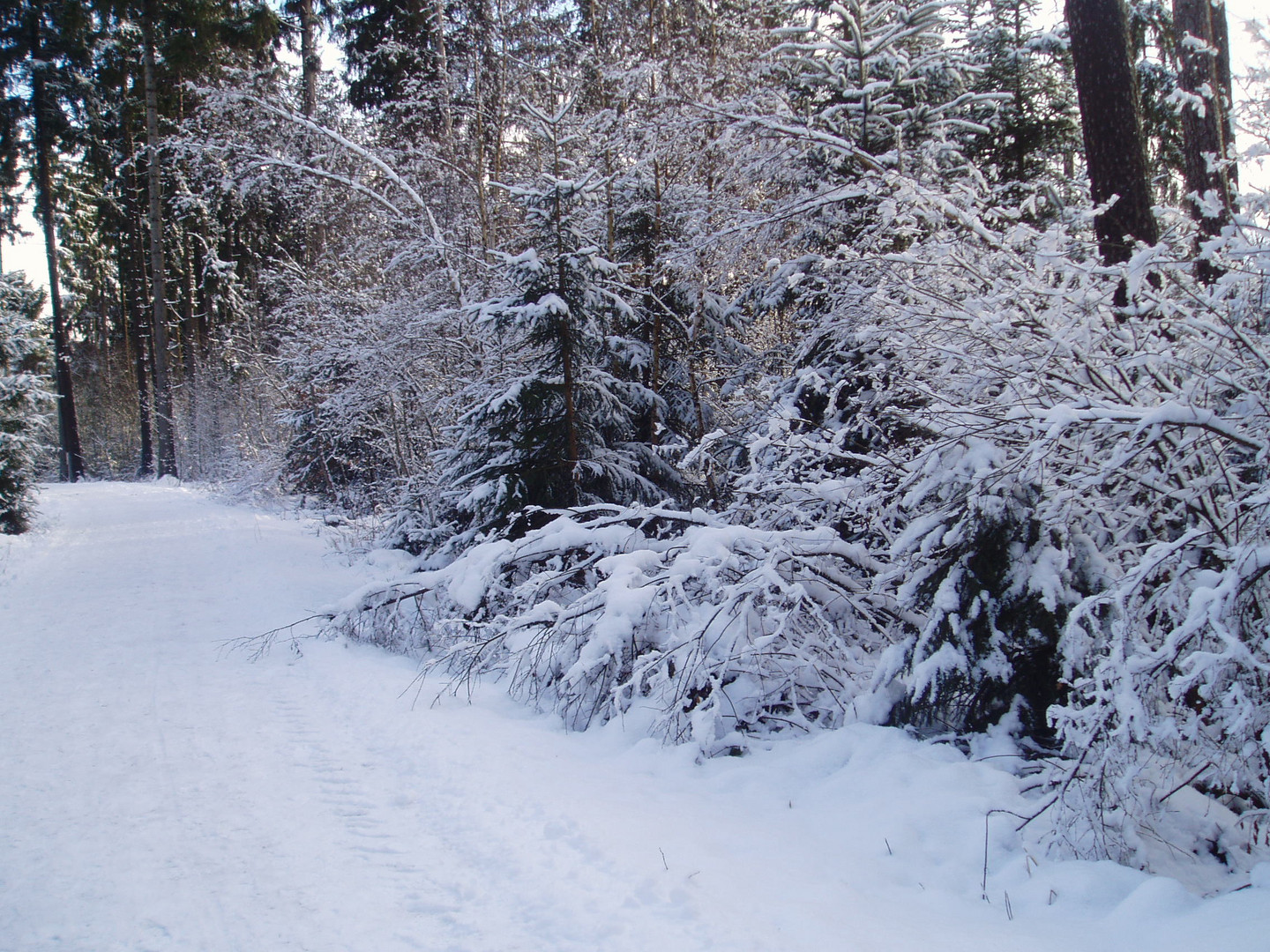 Winter wie aus dem Bilderbuch ..