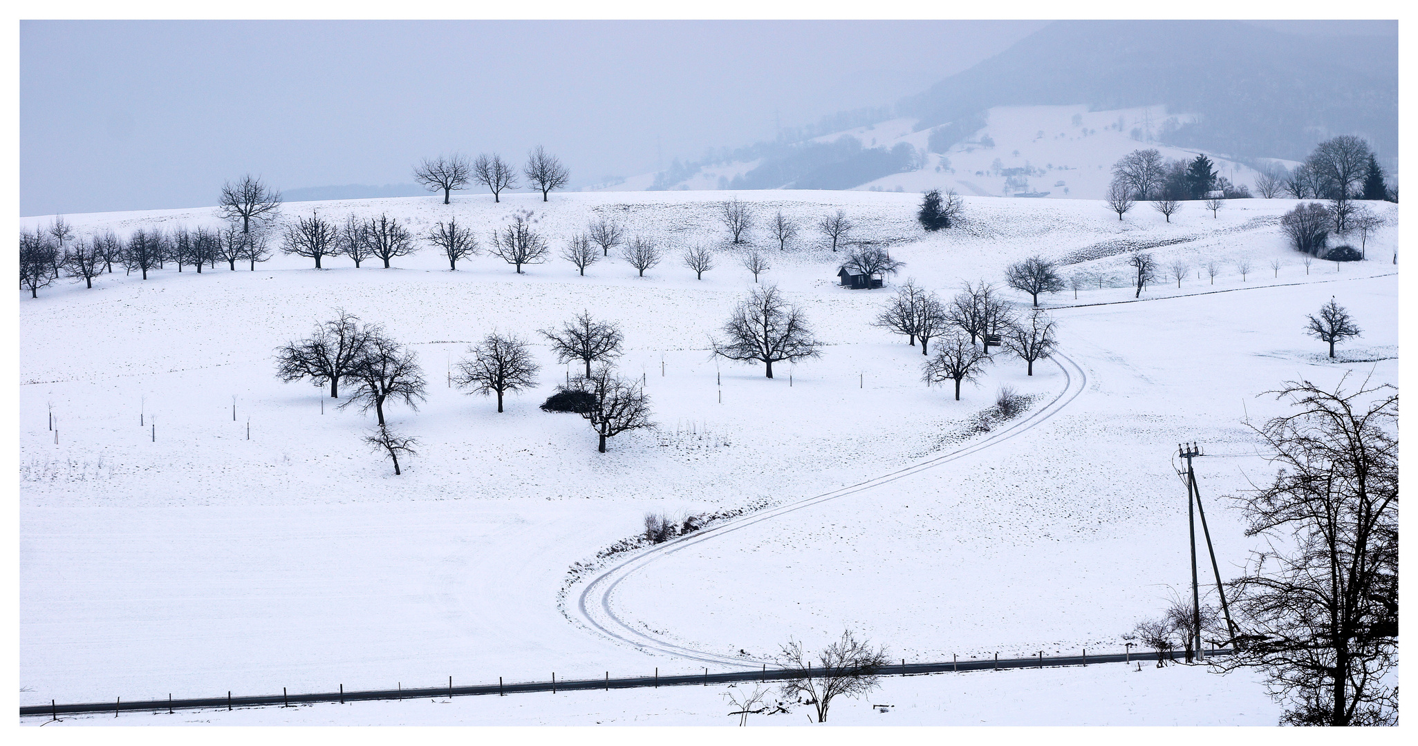 Winter wie damals 1