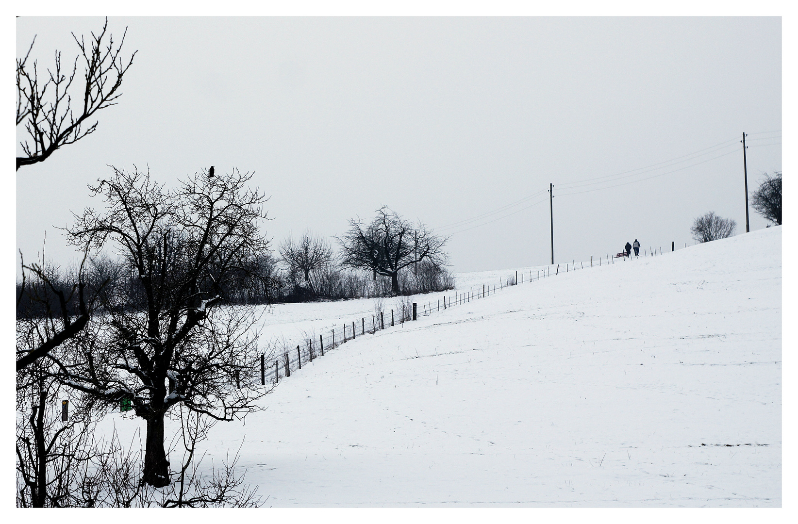 Winter wie damals 2