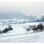 Winter wie damals 4