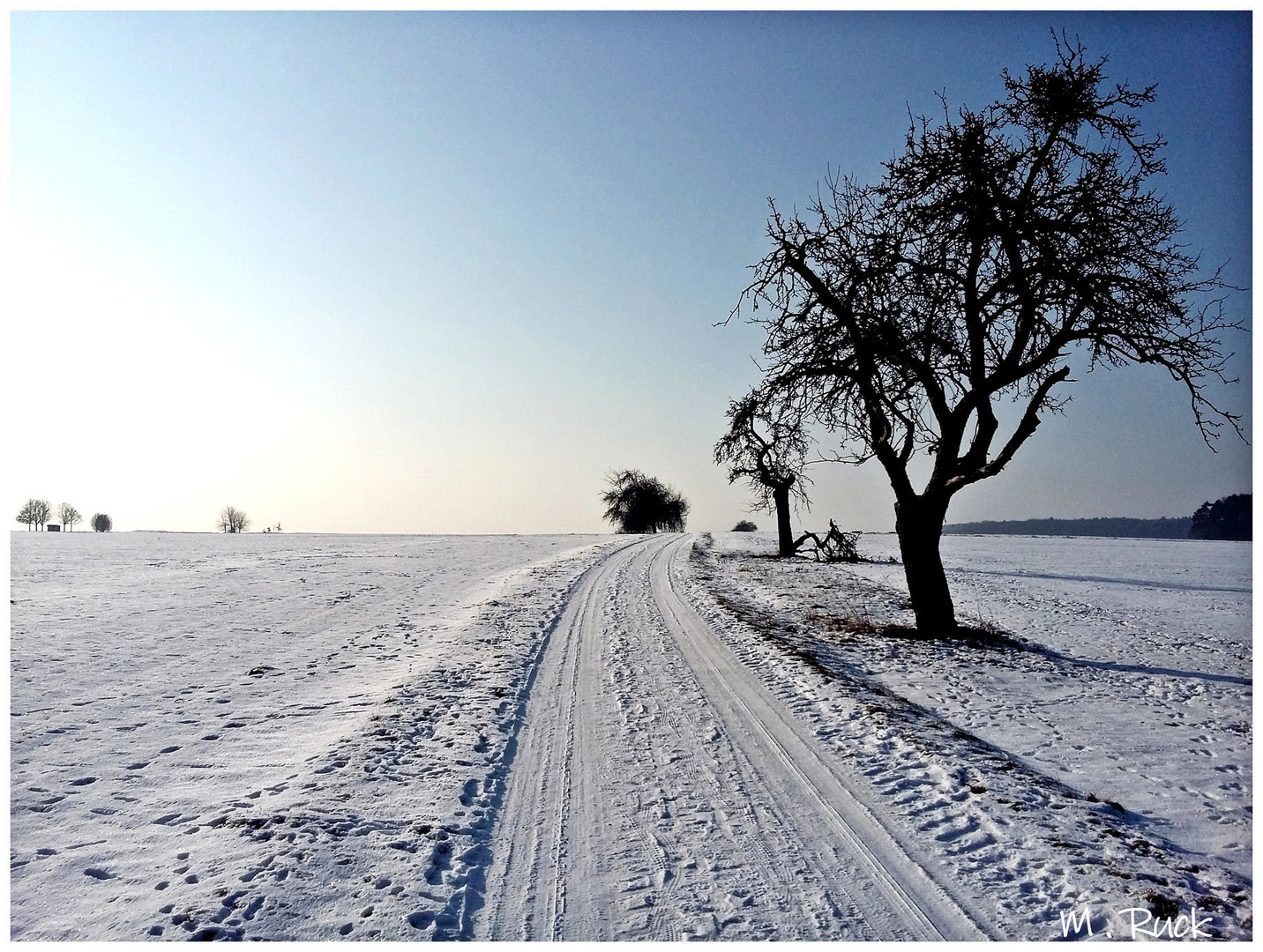 Winter wie er auch aussehen könnte !