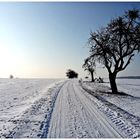 Winter wie er auch aussehen könnte !