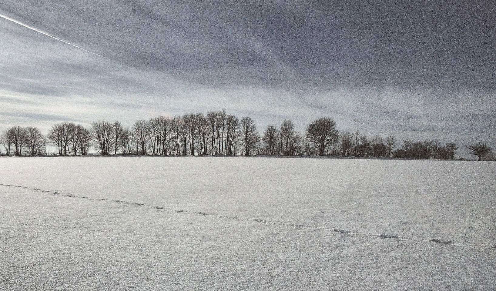 Winter wie er früher war