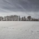 Winter wie er früher war