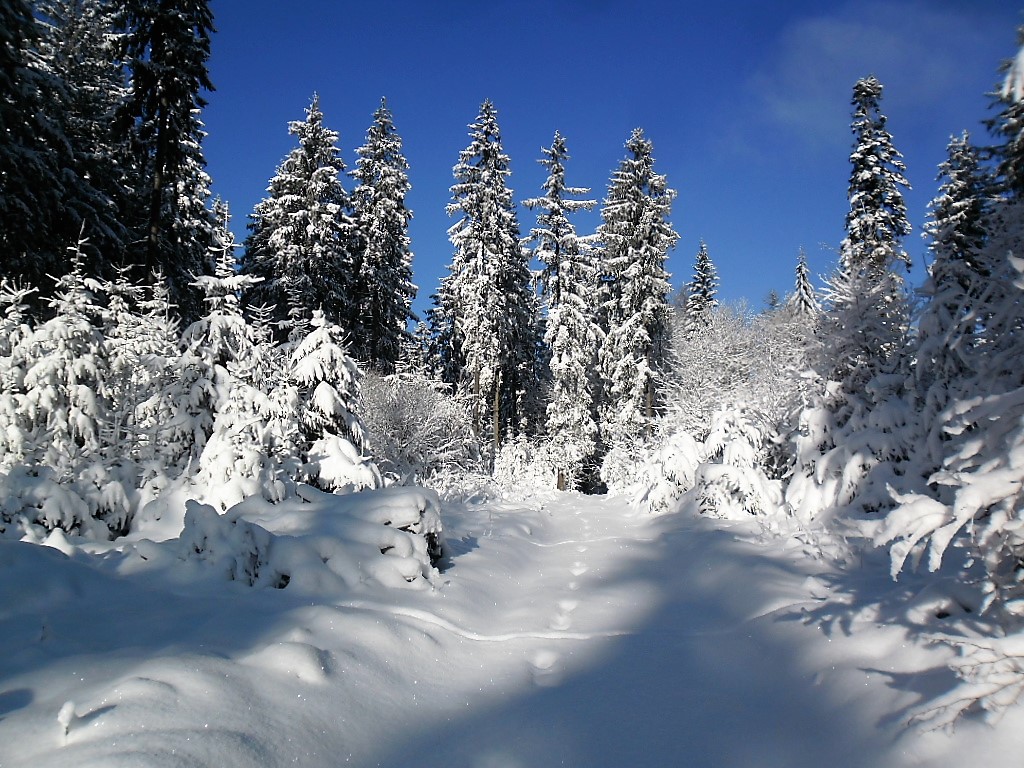 Winter wie er sein soll..