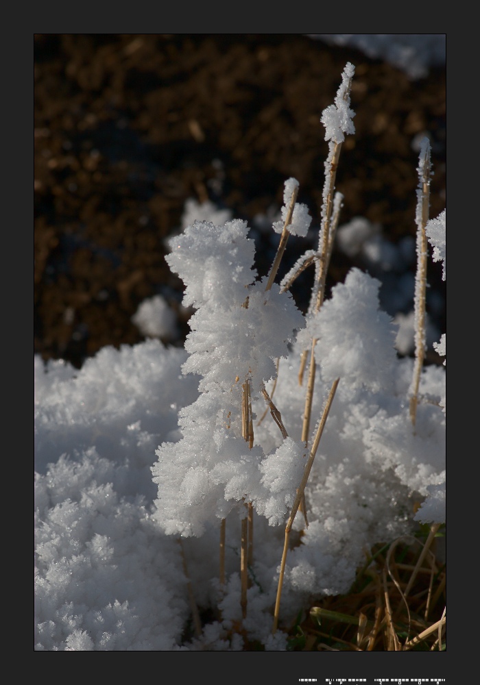 Winter, wie er sein sollte...