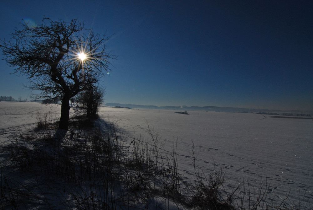 Winter wie er sein sollte :-)