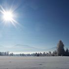 Winter wie er sein sollte