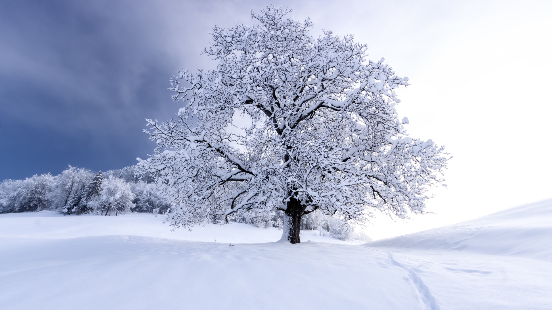 winter wie früher 