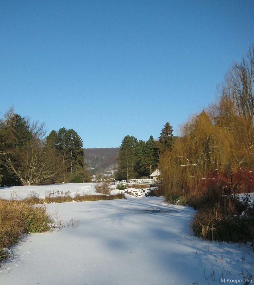 Winter wie im Bilderbuch..