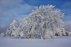 Winter wie schön!!