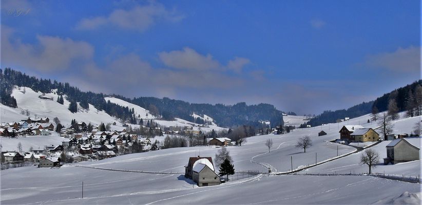 Winter wie wir in gerne hätten...