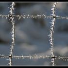 Winter Window