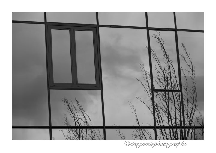 Winter Windows 2