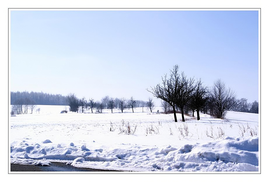 Winter, Winter, räume das Feld!!!