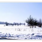 Winter, Winter, räume das Feld!!!