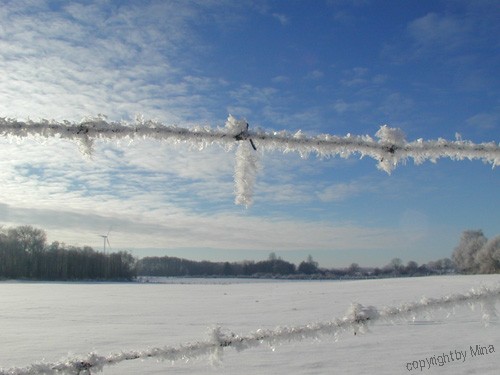 Winter, Winter Wonder, Wonderland