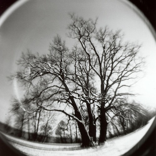 winter with holga