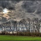 ... Winter - Wolken - Bäume ...