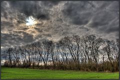 ... Winter - Wolken - Bäume ...