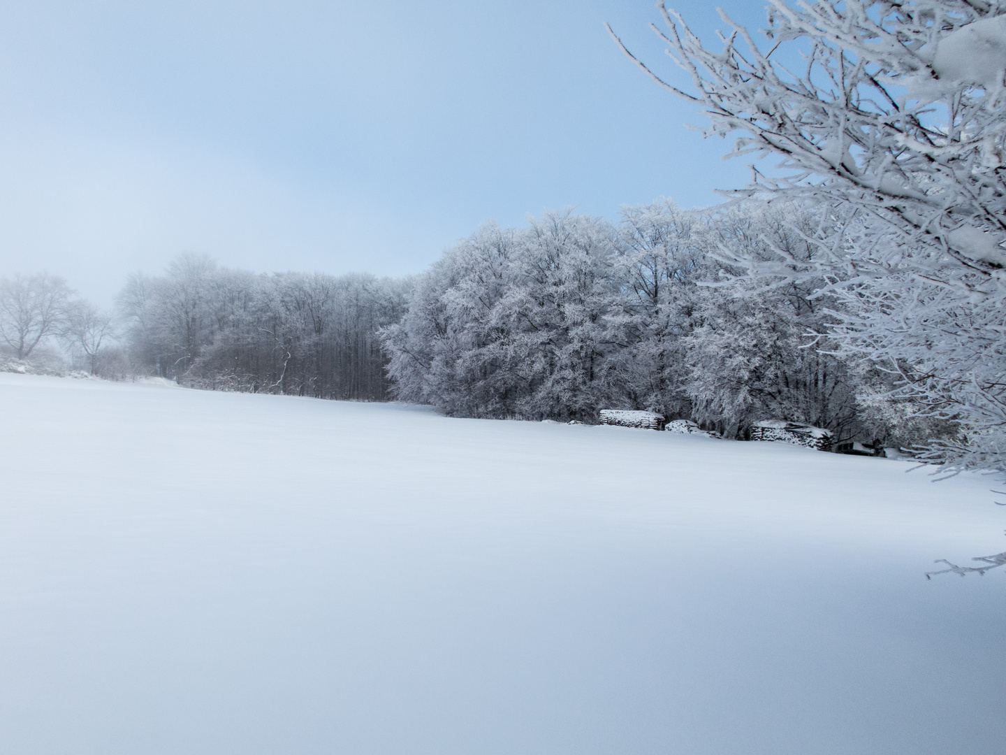 Winter Wonder Land