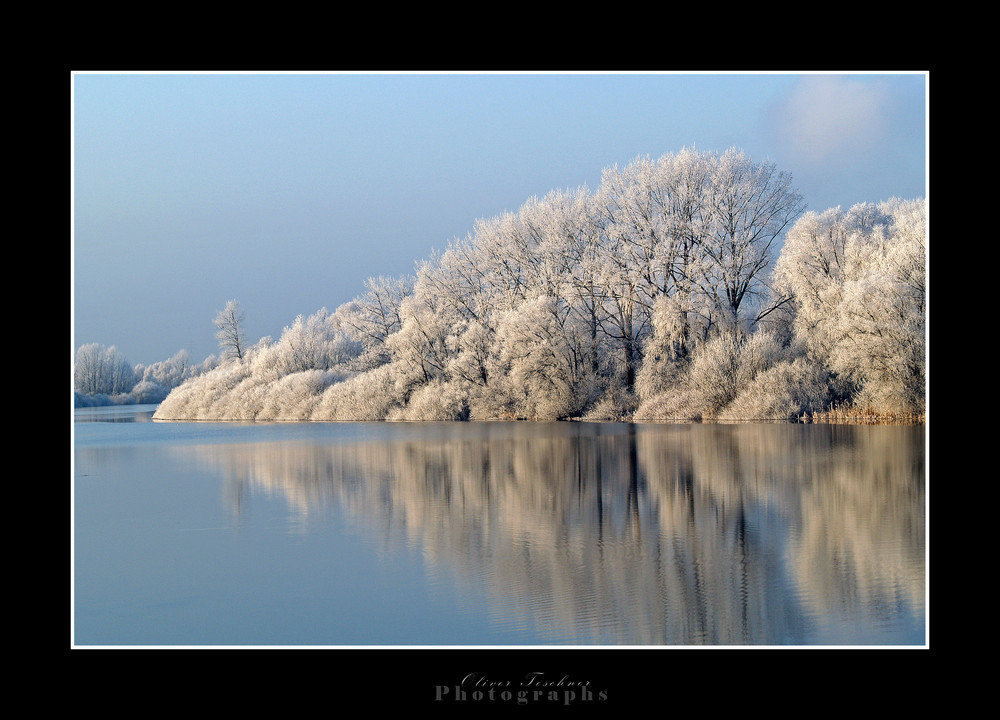 Winter Wonder Land