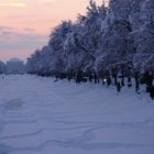 winter wonder land /Gern Neuhausen