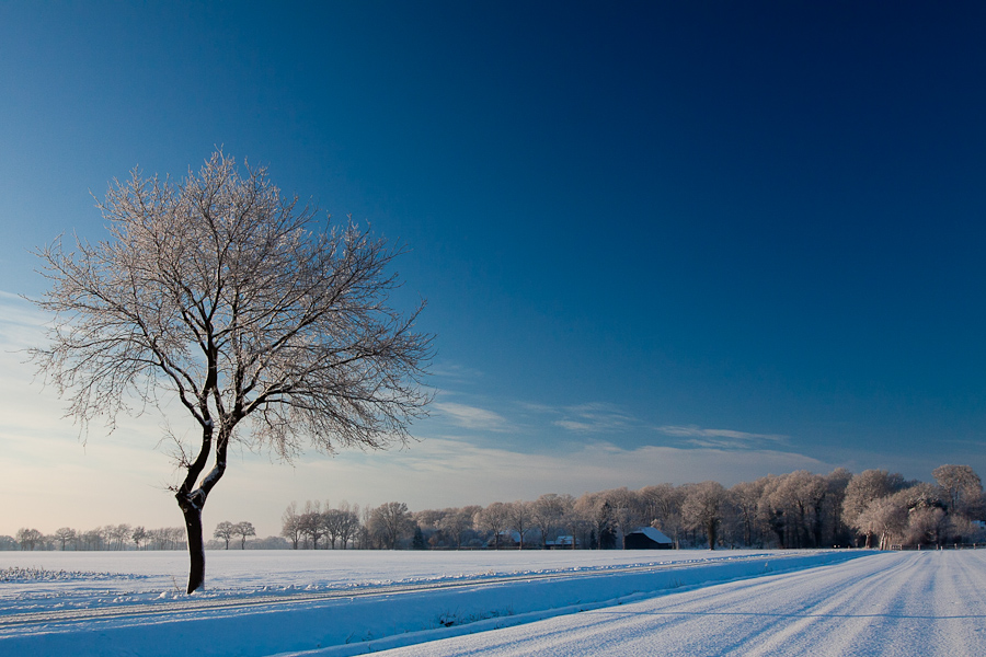 Winter Wonder Land III