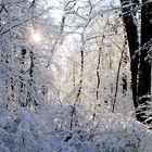 Winter-Wonderland (1)