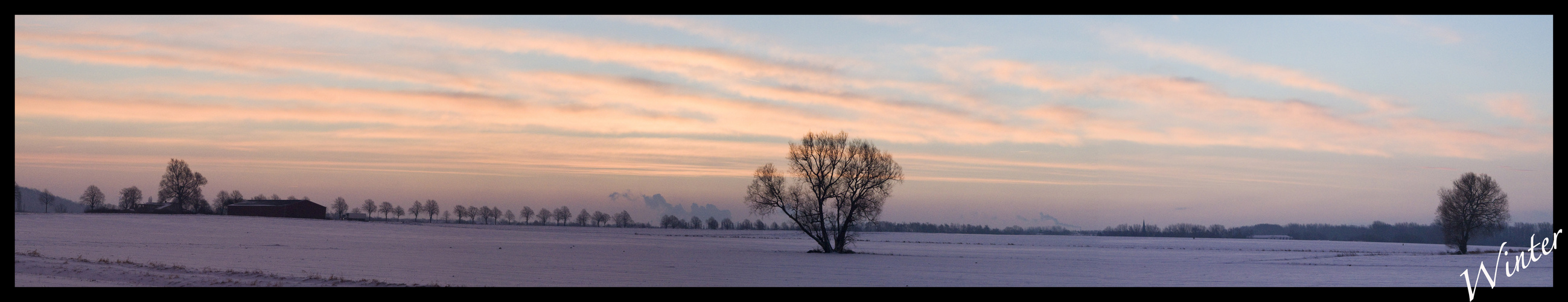 winter wonderland