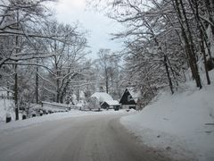 Winter Wonderland 3