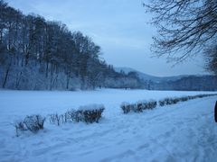 Winter Wonderland 4