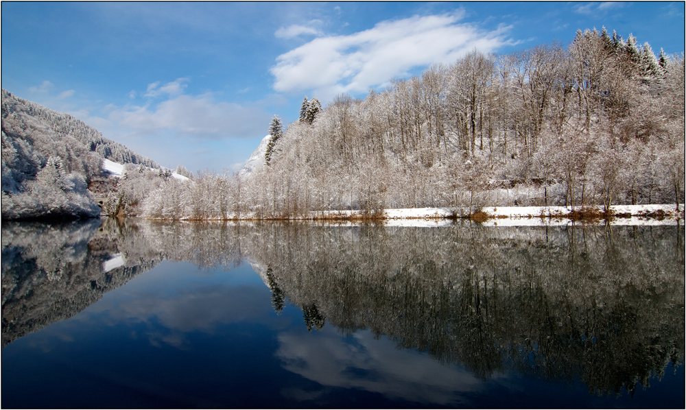 winter wonderland