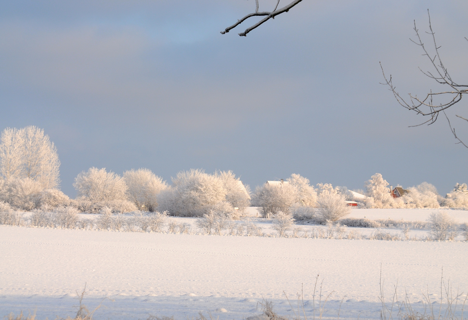 Winter Wonderland