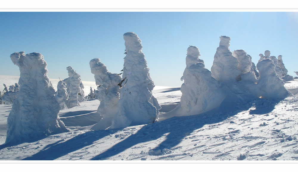 winter wonderland von F r a n k Peters 