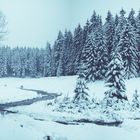 Winter Wonderland