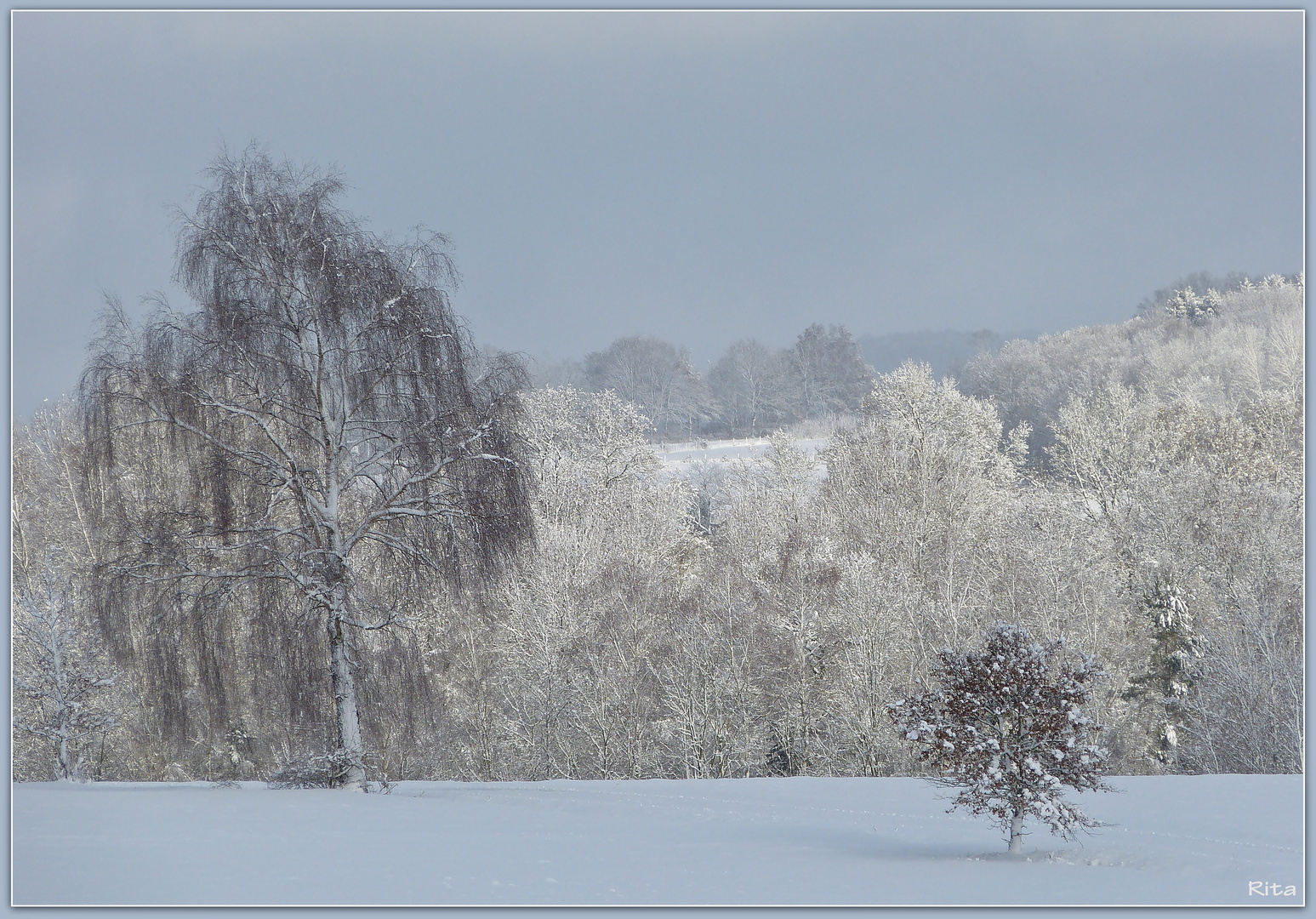 Winter Wonderland...