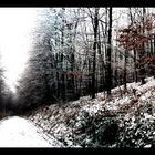 Winter wonderland :-)