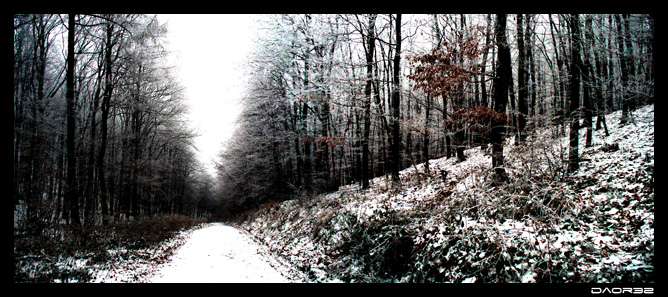 Winter wonderland :-)