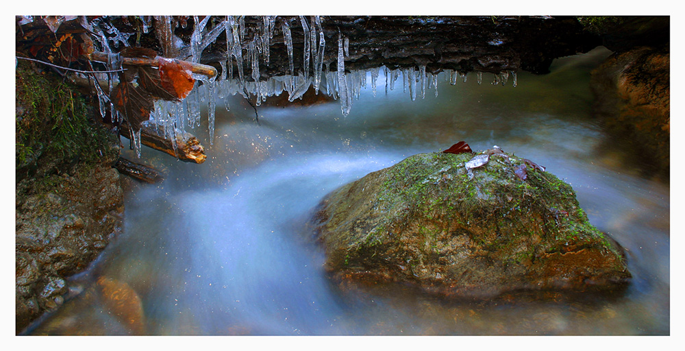 Winter Wonderland