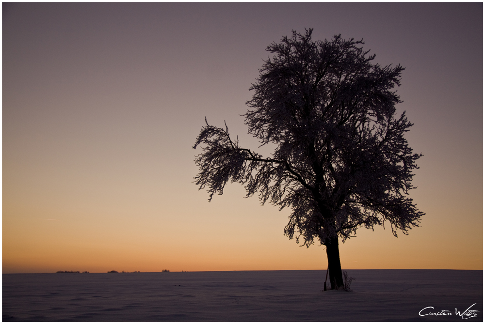 winter wonderland