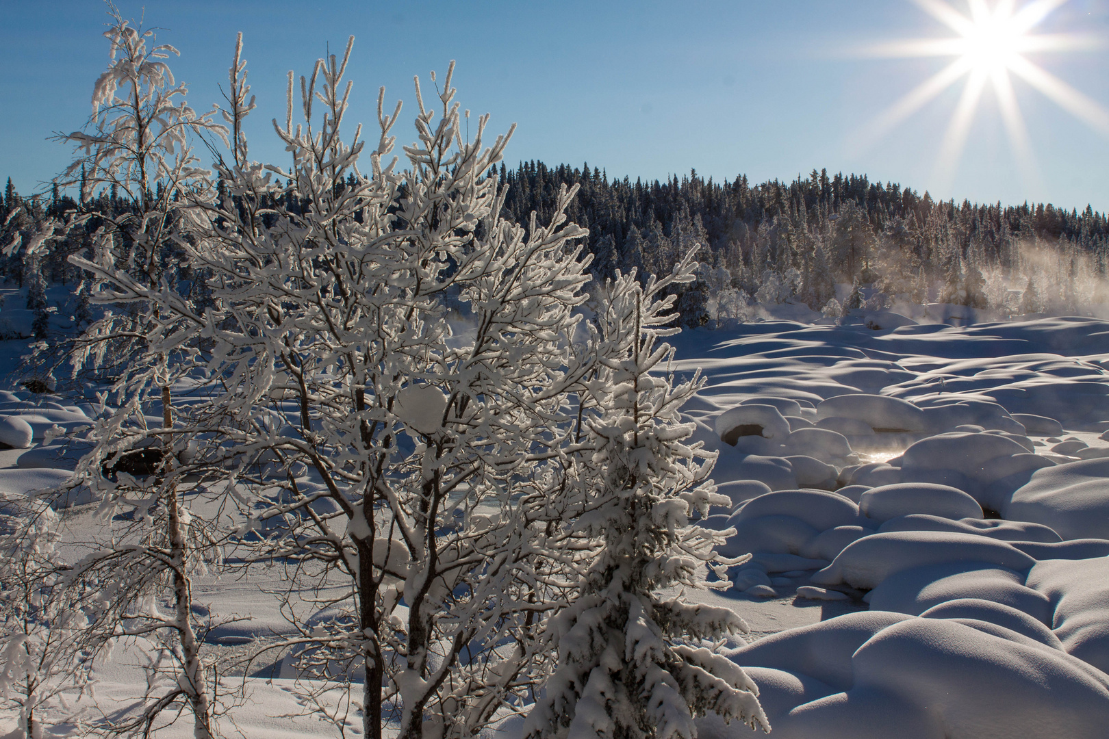 Winter-Wonderland