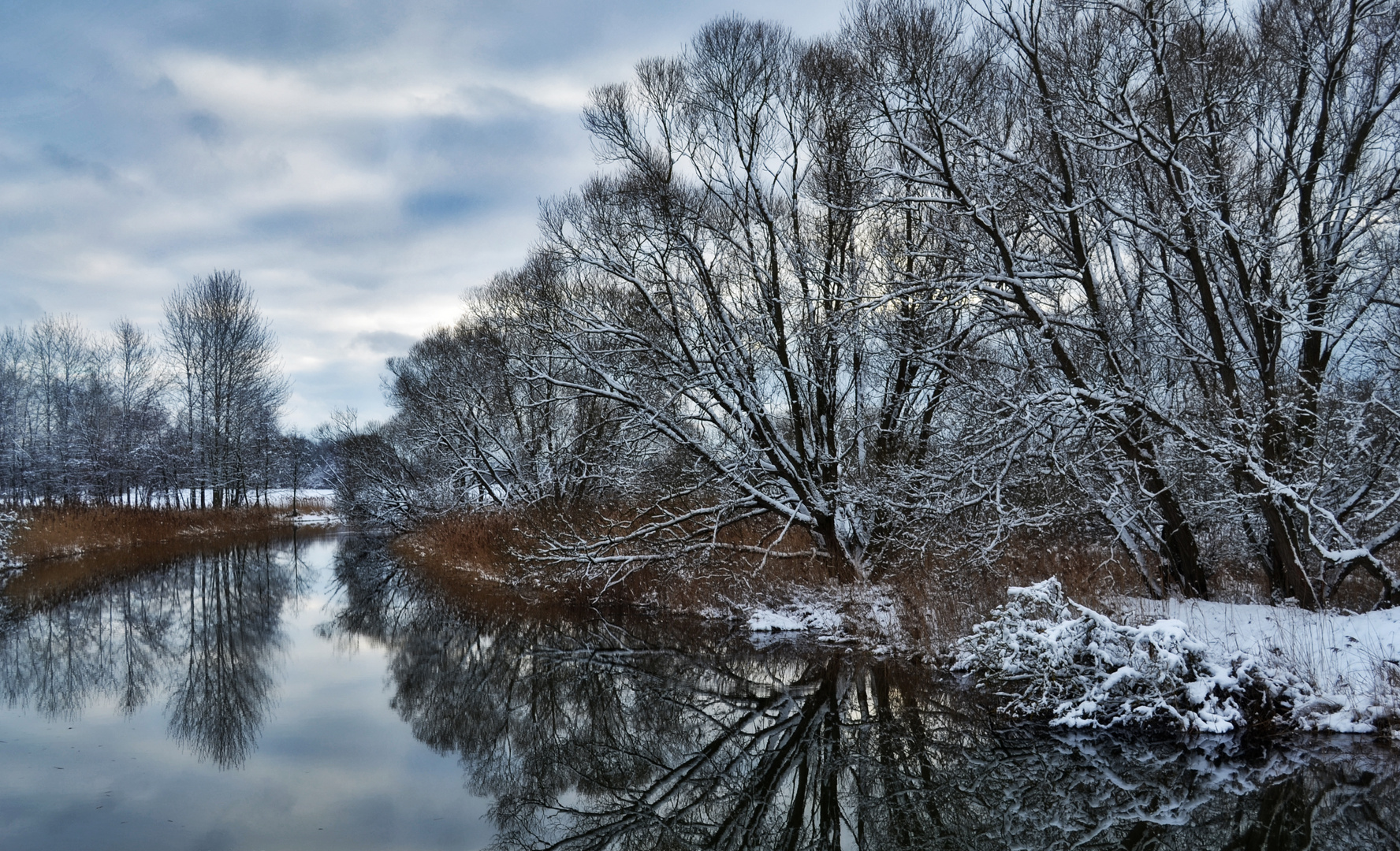 Winter Wonderland